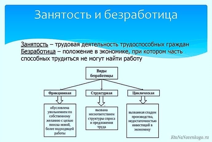 Трудовая занятость: определение и понятие