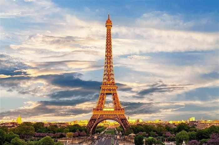 Запрещенные к ввозу товары во Францию в 2024 году