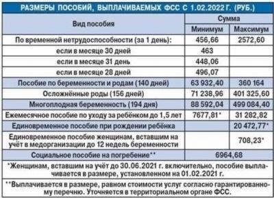 Как определить размер алиментов на содержание жены до 3 лет 2024?