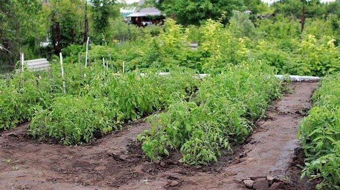 Повышение эстетического вида плиточного покрытия