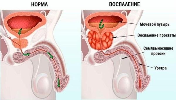 Кто проходит медицинскую комиссию в военкомате